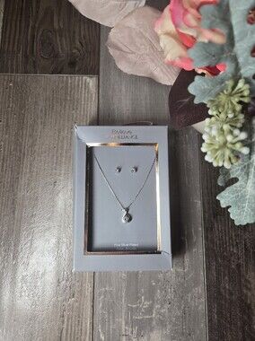NWT Believe by Brilliance Silver Plated Necklace & Earring Set – Jewelry